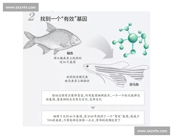 围绕vs是谁展开的真相解析与人物背景全面揭秘来龙去脉深度解读