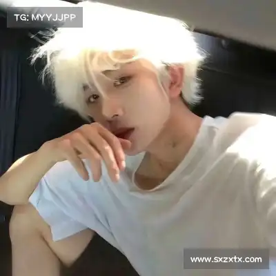 韶诚洁